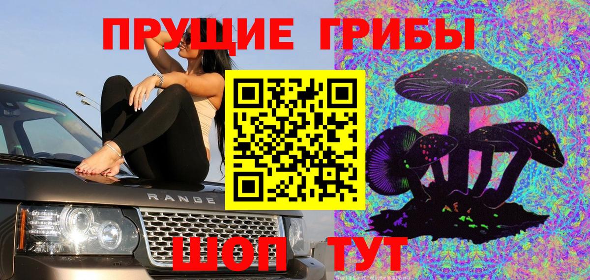 Псилоцибиновые грибы прущие грибы Саров