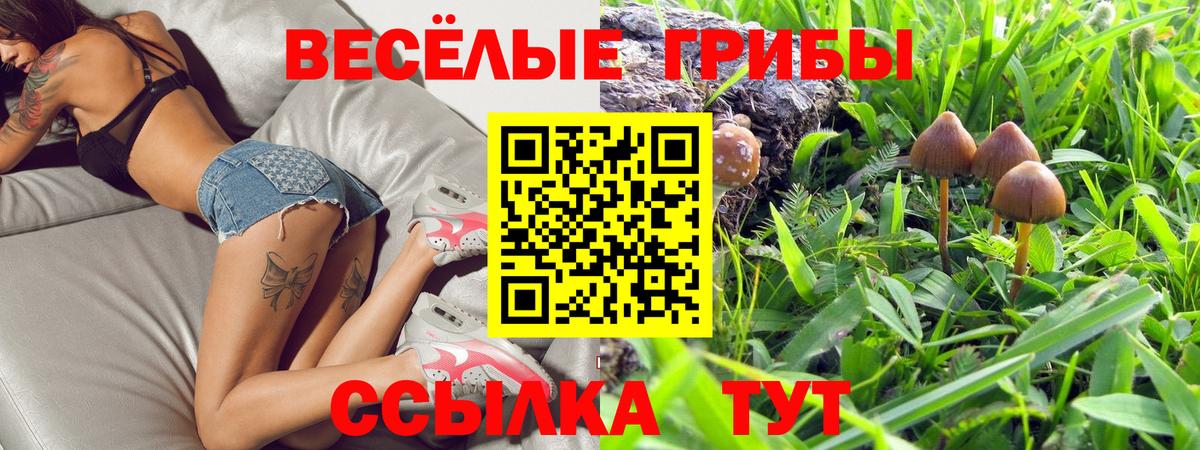 Псилоцибиновые грибы ЛСД  купить   Вход с VPN  Саров  Псилоцибиновые грибы Psilocybe 
