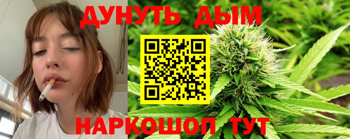 Каннабис план  Вход с VPN  Саров  Шишки марихуана планчик  Каннабис AK-47 